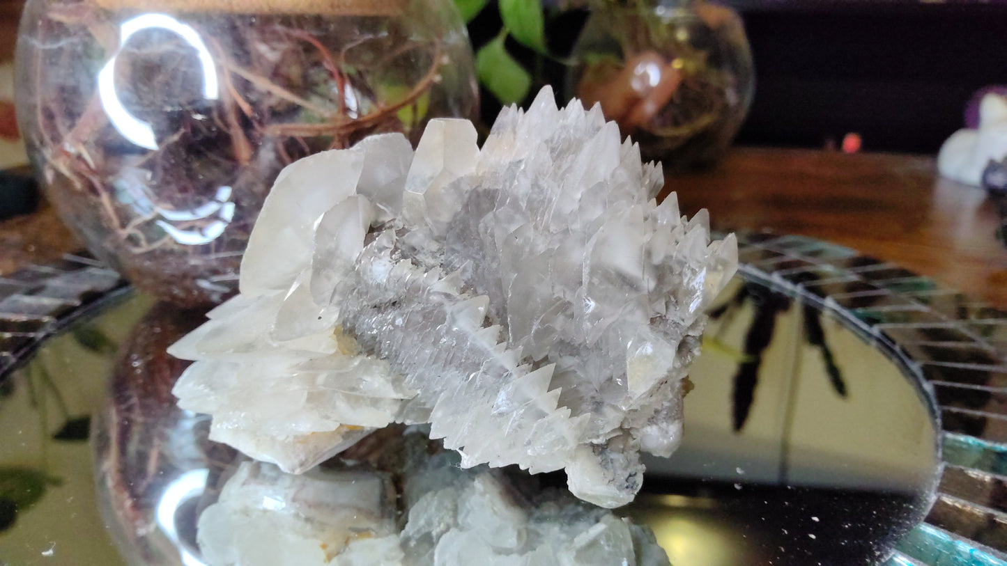Quartz Cluster Geode of Clarity