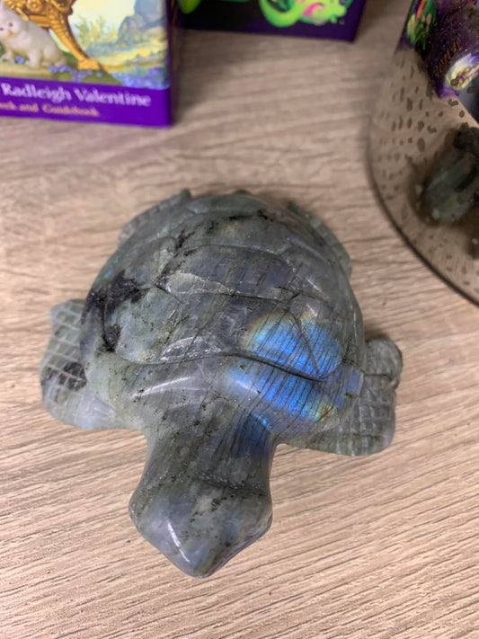 Labradorite Turtle