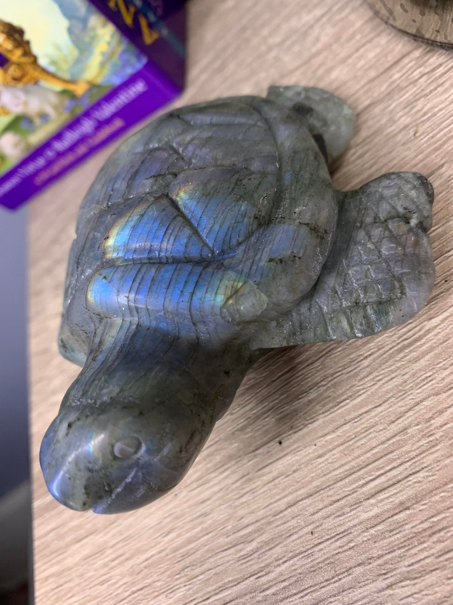 Labradorite Turtle