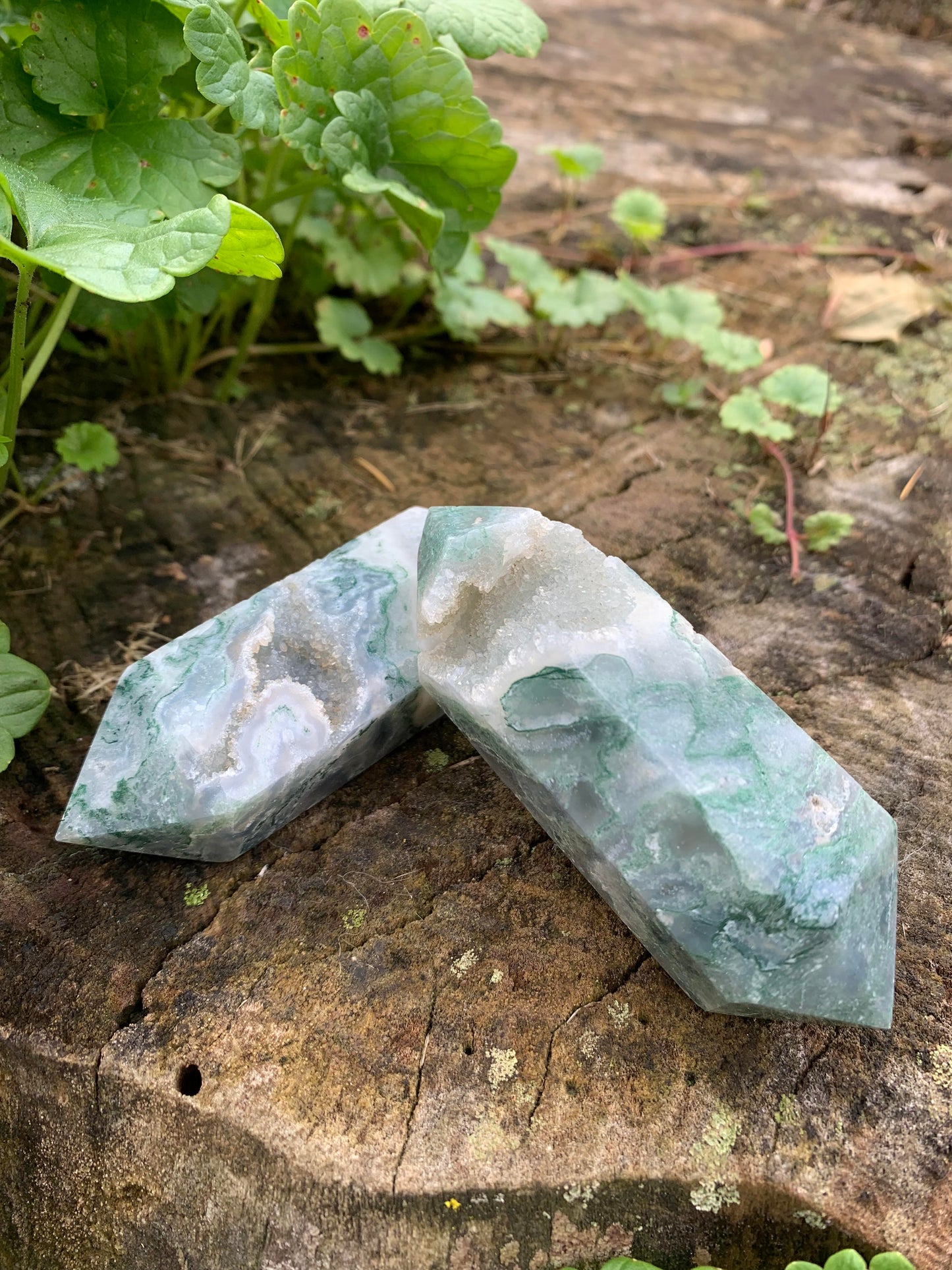 Druzy Moss Agate Double Point